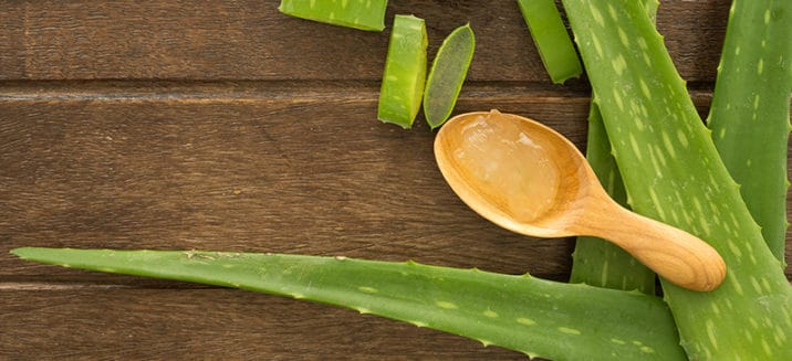 Say Aloe | Health benefits of Aloe Vera