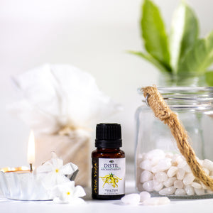 Ylang Ylang Essential Oil
